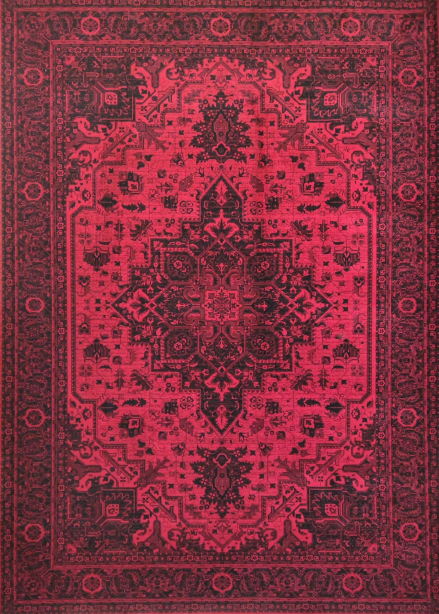 Fa590CHarrisRed.jpg